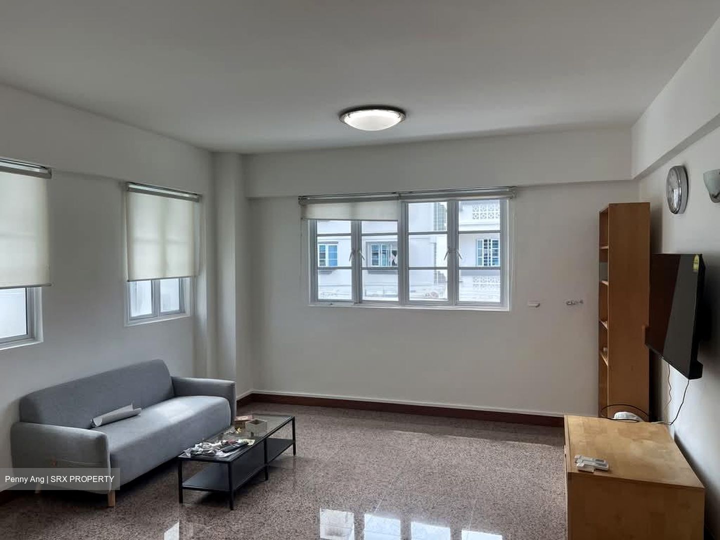 Shelford Regency (D11), Condominium #598132111